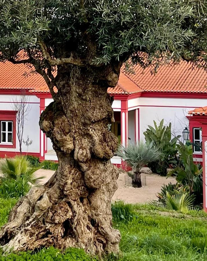 Best Luxury Boutique B&B Vista Do Vale Tomar Eksteriør bilde